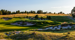 Placeholder Tourney Image